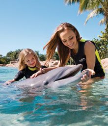 Discovery Cove Attraction Tickets