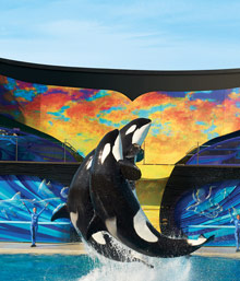 SeaWorld Attraction Tickets