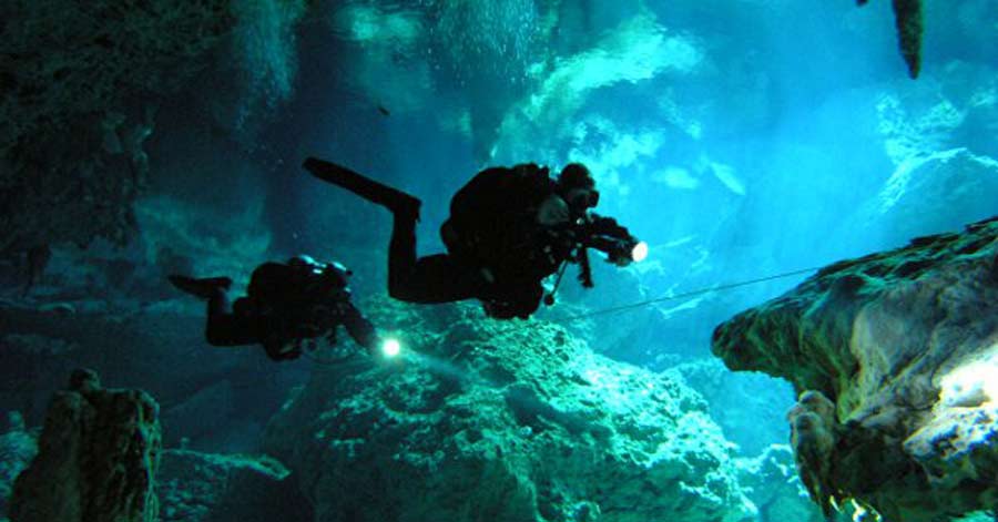Top 10  World\u002639;s Best Dive Sites