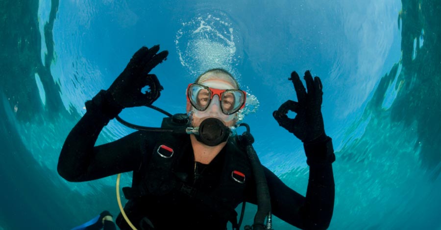 scuba-diver scuba-diver