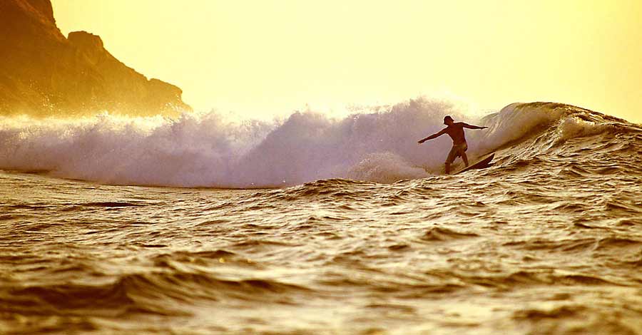 surfing surfing